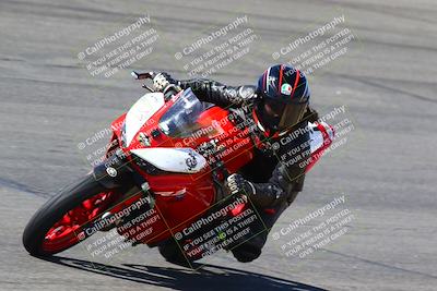 media/Mar-12-2022-SoCal Trackdays (Sat) [[152081554b]]/Bowl Set 2 (1025am)/